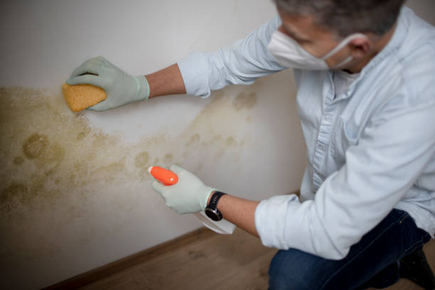 Best Residential Mold Removal  in Trappe, MD